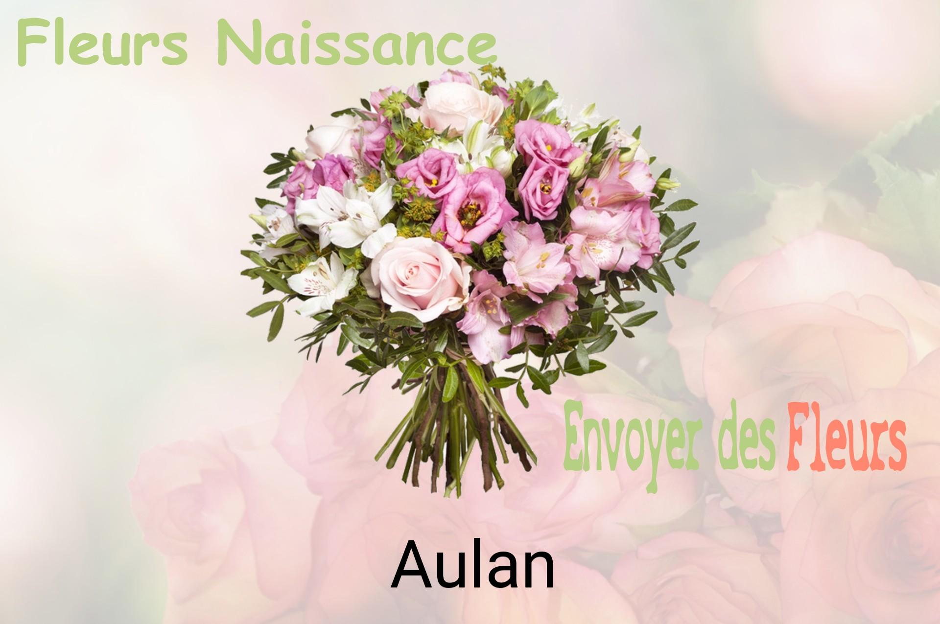 Bouquet de fleurs de naissance livré à Aulan